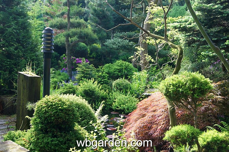 wbgarden spring 40.JPG